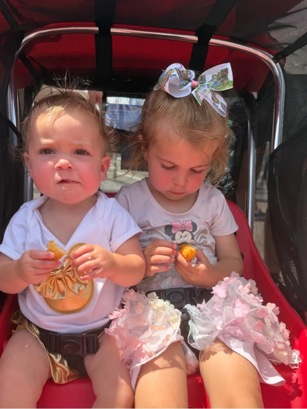 Disney World Parks Bow
